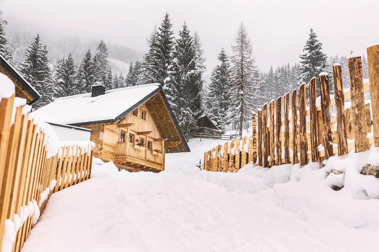 Bergseegut Chalet Und Apartment Ваграйн Экстерьер фото