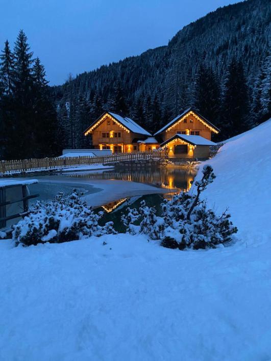 Bergseegut Chalet Und Apartment Ваграйн Экстерьер фото