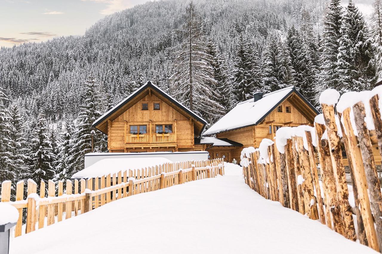 Bergseegut Chalet Und Apartment Ваграйн Экстерьер фото